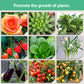 💥Limited Sale - BUY 1 GET 1 FREE💥Slow-Release Organic Fertilizer In Stick Form For Indoor Plants（BUY 5 GET 10 FREE）