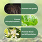 💥Limited Sale - BUY 1 GET 1 FREE💥Slow-Release Organic Fertilizer In Stick Form For Indoor Plants（BUY 5 GET 10 FREE）