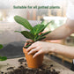 💥Limited Sale - BUY 1 GET 1 FREE💥Slow-Release Organic Fertilizer In Stick Form For Indoor Plants（BUY 5 GET 10 FREE）