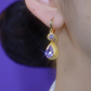 ✨Women's Fashion Teardrop Dangle Earrings💫